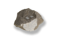 M 02502
<br/>
<br/>
<em></em>